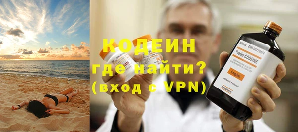 мдпв Каменка