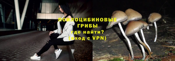 мдпв Каменка
