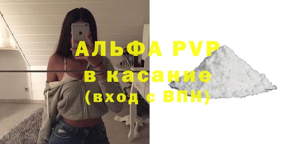 мдпв Каменка