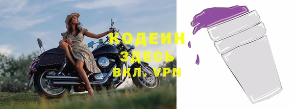 мдпв Каменка