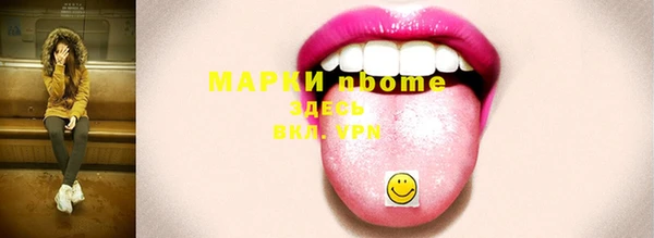 мдпв Каменка