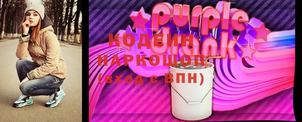 мдпв Каменка