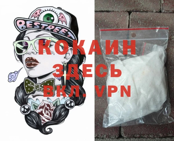 мдпв Каменка