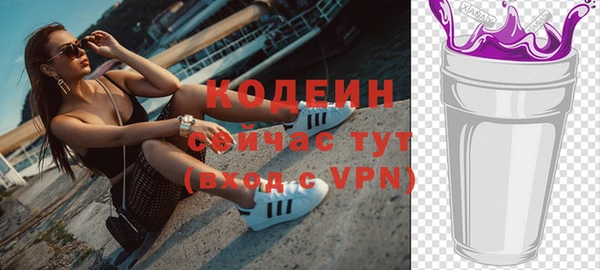 мдпв Каменка