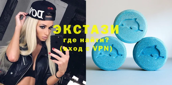 мдпв Каменка