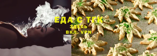 мдпв Каменка