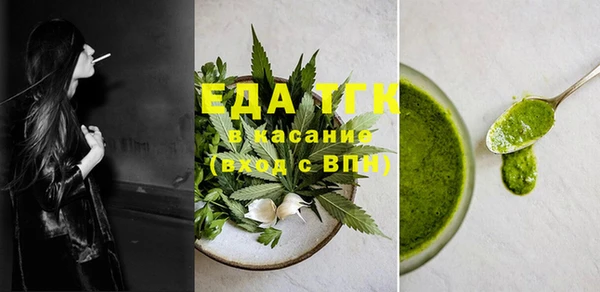 мдпв Каменка